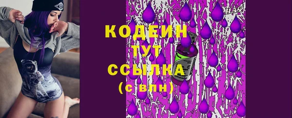 эйфоретик Каменка