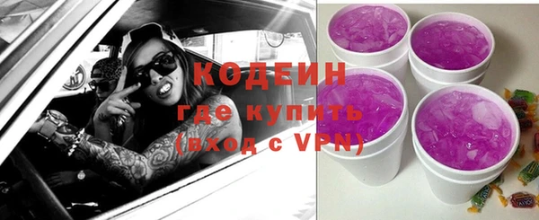эйфоретик Каменка