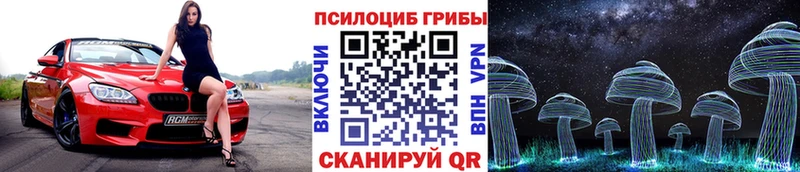 наркотики  Кемь  ссылка на мегу как войти  Галлюциногенные грибы Psilocybine cubensis 